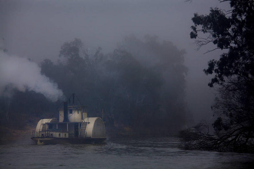 无人,横图,室外,河流,雾,客轮,澳大利亚,黎明,天气,树,自然,运输,摄影,新南威尔士,彩图,明轮船