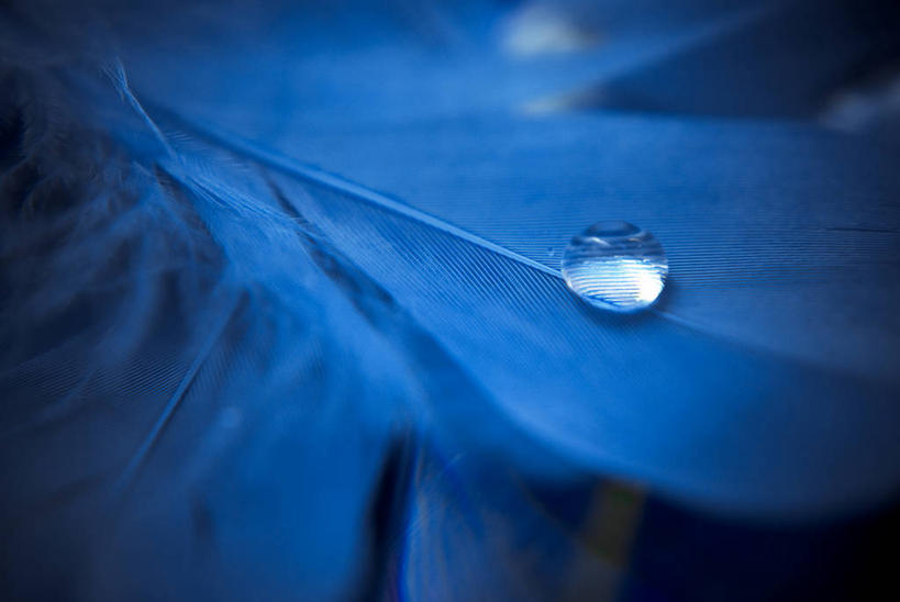 无人,横图,室外,夜晚,水,英国,水滴,蓝色,摄影,脆弱,柔和,彩图