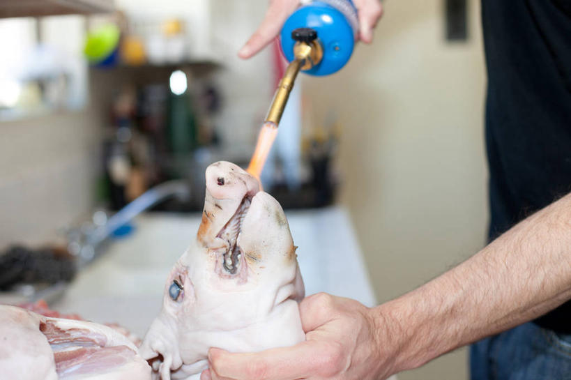 成年人,中年人,手,一个人,横图,室内,白天,美国,仅一个男性,仅一个人,仅一个中年男性,准备,火焰,热,火把,火炬,拿着,猪肉,人体,摄影,部分,加利福尼亚,帕萨迪纳,男人,男性,中年男性,彩图