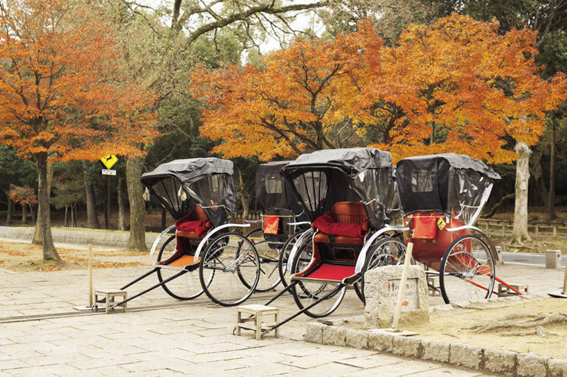 无人,横图,室外,白天,奈良县,日本,黄包车,树,运输,摄影,宁静,停止,改变,暂停,停滞,奈良公园,秋天,彩图