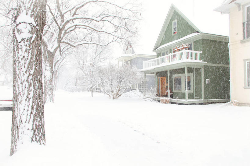 无人,横图,室外,白天,街道,加拿大,房屋,冬天,天气,树,自然,寒冷,摄影,卡尔加里,亚伯达,彩图,林荫大道