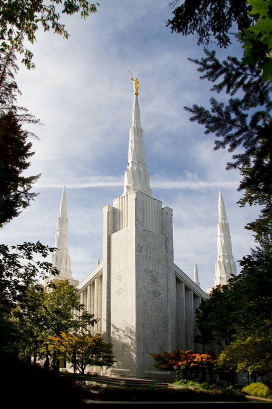 无人,竖图,室外,白天,建筑,美国,雕像,枝,树,白色,天空,摄影,宗教,波特兰,彩图