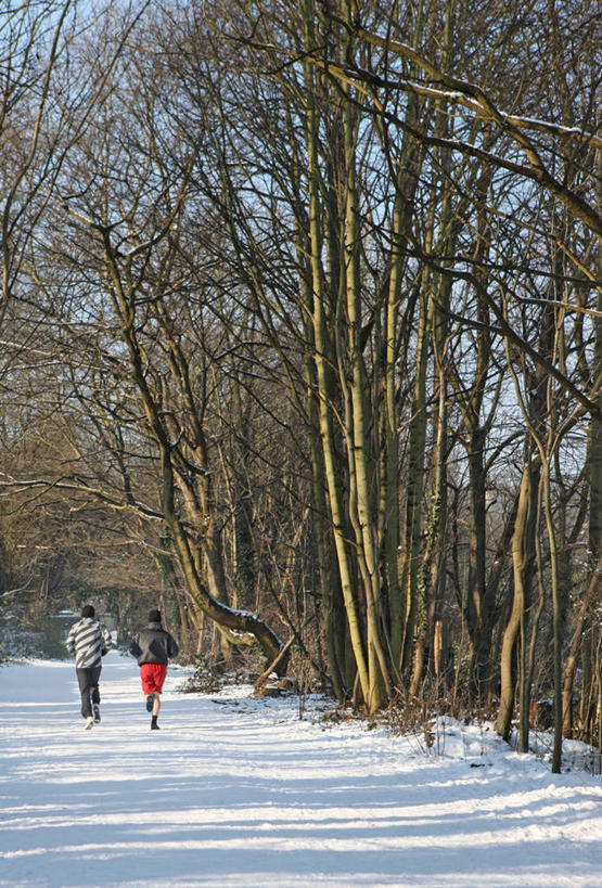 成年人,两个人,跑,竖图,室外,白天,树林,雪,英国,小路,首都,休闲装,树,树干,摄影,慢跑,彩图