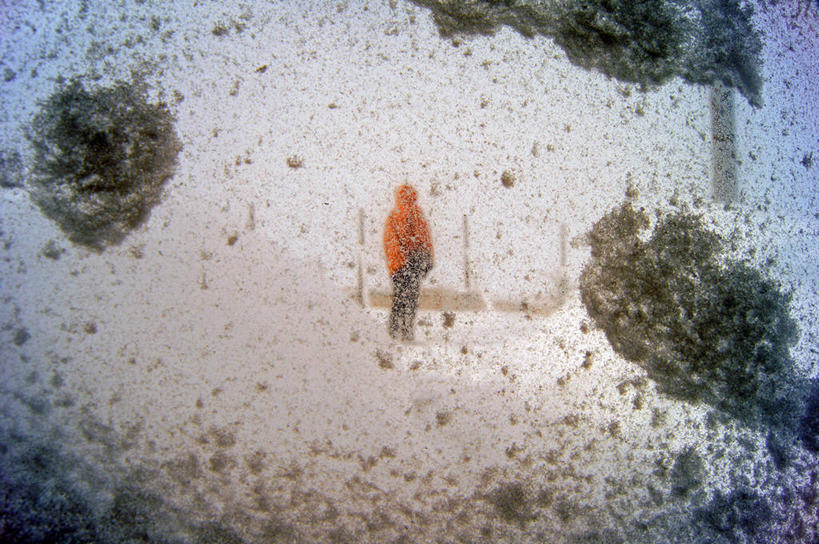 一个人,站,横图,室外,白天,雪,车站,日本,冬天,站台,月台,背面,寒冷,摄影,等,青森县,彩图