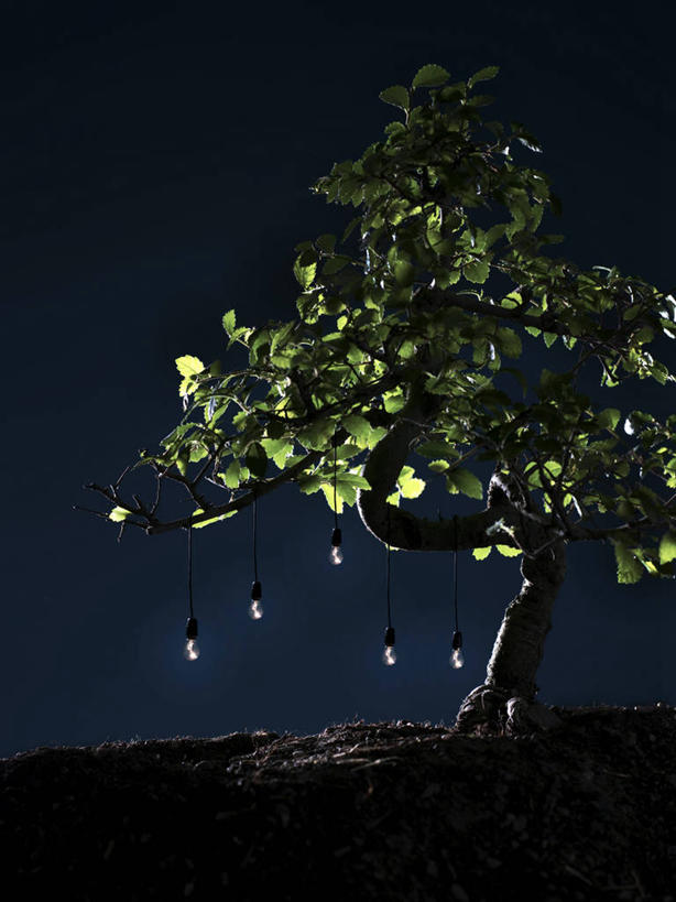 无人,竖图,室外,夜晚,英国,吊挂,悬挂,盆景,挂,蓝色,天空,自然,摄影,能源,电,电灯泡,想法,彩图