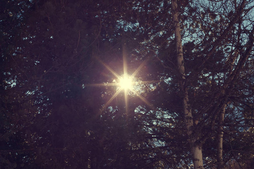 无人,横图,室外,白天,镜头眩光,瑞士,树,自然,摄影,宁静,瓦莱斯州,彩图