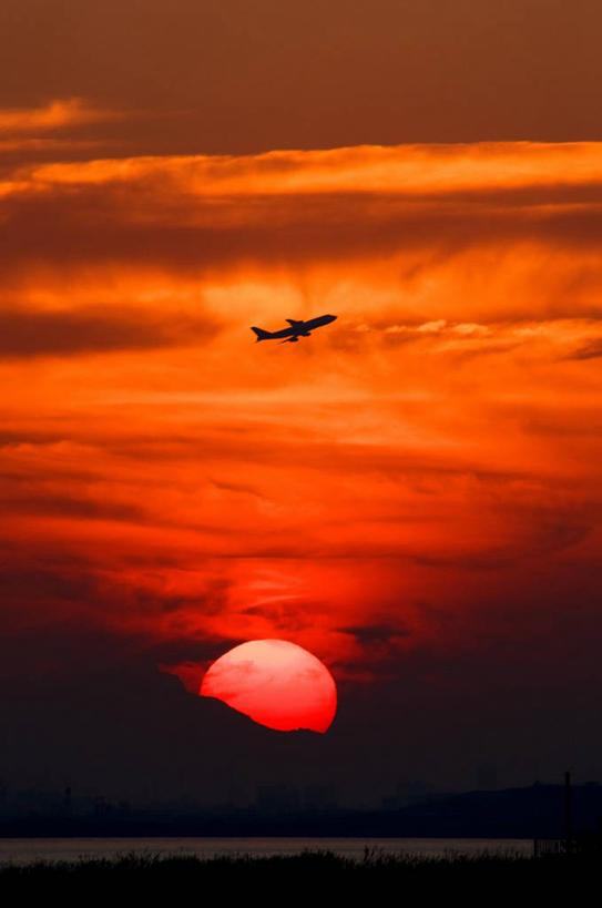 无人,竖图,室外,日落,太阳,飞机,日光,日本,云,半空,风景,天空,自然,橙色,运输,摄影,千叶,浦安,彩图