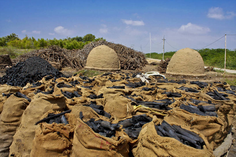 无人,横图,室外,白天,巴基斯坦,许多,丰富,云,茎,枝,很多,树,天空,自然,摄影,能源,煤,彩图