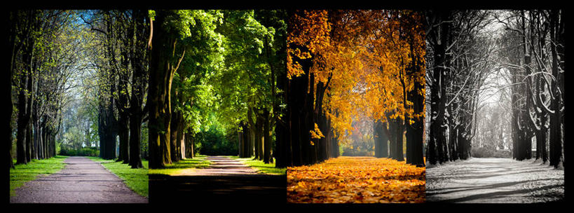 无人,公园,横图,全景,室外,白天,美景,雪,四季,叶子,德国,景观,冬天,小路,天气,数码合成,树,自然,春天,夏天,景色,寒冷,季节,摄影,宁静,自然风光,改变,德累斯顿,萨克森,秋天,彩图,林荫大道