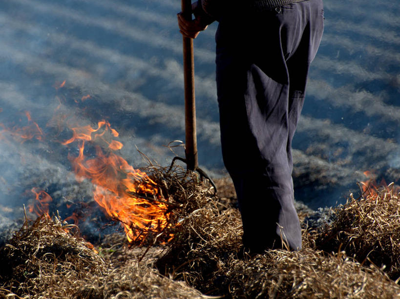 成年人,一个人,横图,室外,白天,农业,机器,火,西班牙,仅一个男性,火焰,田地,燃烧,热,拿着,休闲装,机械,摄影,巴伦西亚省,彩图,农业机械
