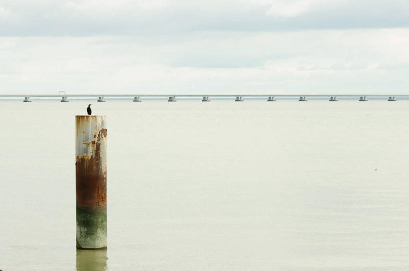 无人,横图,室外,白天,河流,葡萄牙,鸬鹚,鸟类,柱子,云,首都,里斯本,天空,摄影,宁静,塔霍河,彩图