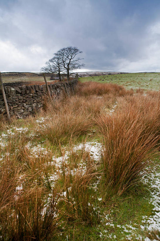 无人,竖图,室外,白天,英国,地平线,旷野,云,辽阔,地面,石墙,草,树,天空,自然,广阔,摄影,宁静,一望无际,延伸,天地相交,无边无际,一马平川,巴克斯顿,彩图