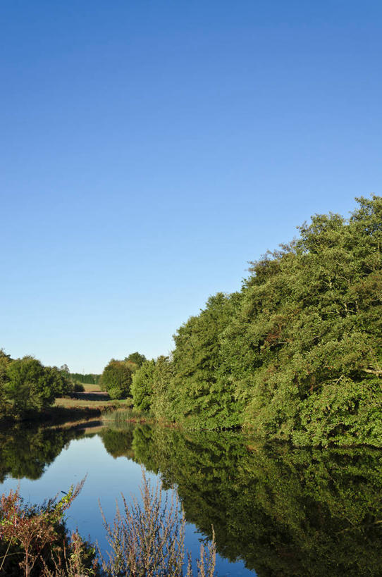 无人,竖图,室外,白天,美景,日光,英国,反射,景观,树,风景,天空,自然,景色,摄影,宁静,自然风光,万里无云,梅德斯通,死水,彩图