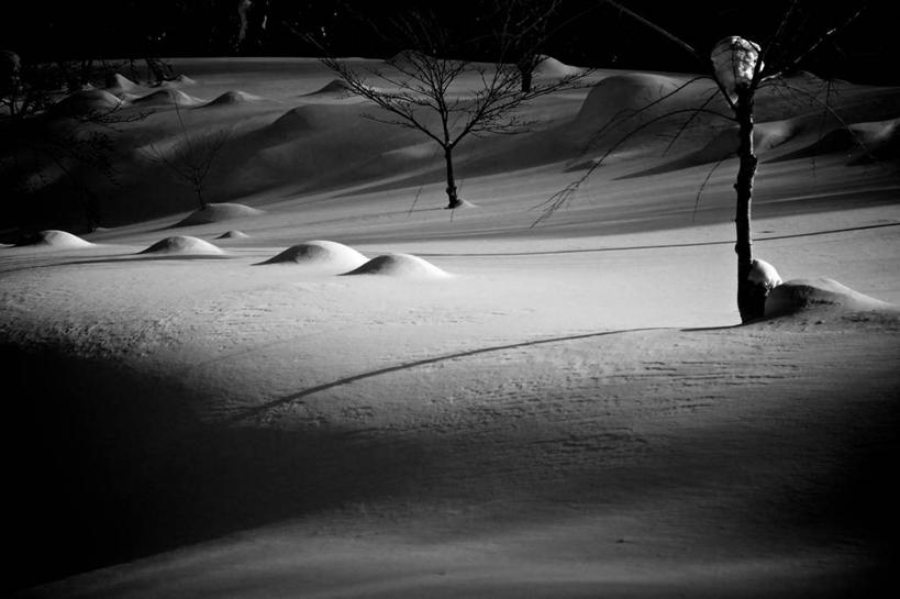 无人,横图,室外,夜晚,沙漠,日本,沙子,自然,摄影,宁静,岩手县,八幡平市,彩图