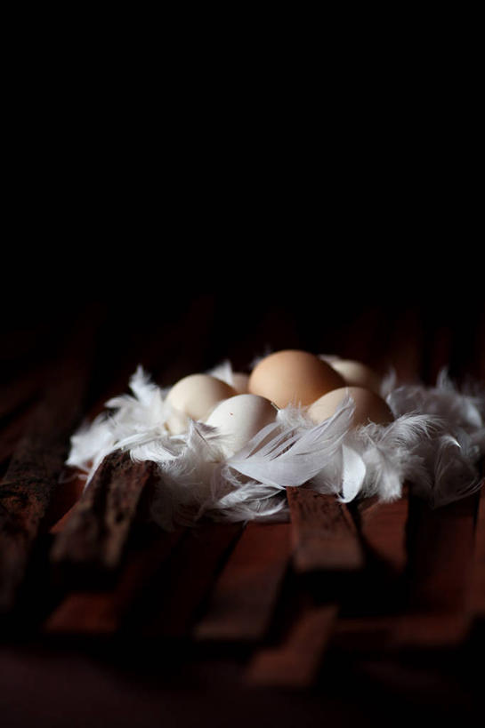 无人,竖图,室内,特写,北京,鸡蛋,首都,饮食,摄影,脆弱,清新,健康食物,北京市,彩图