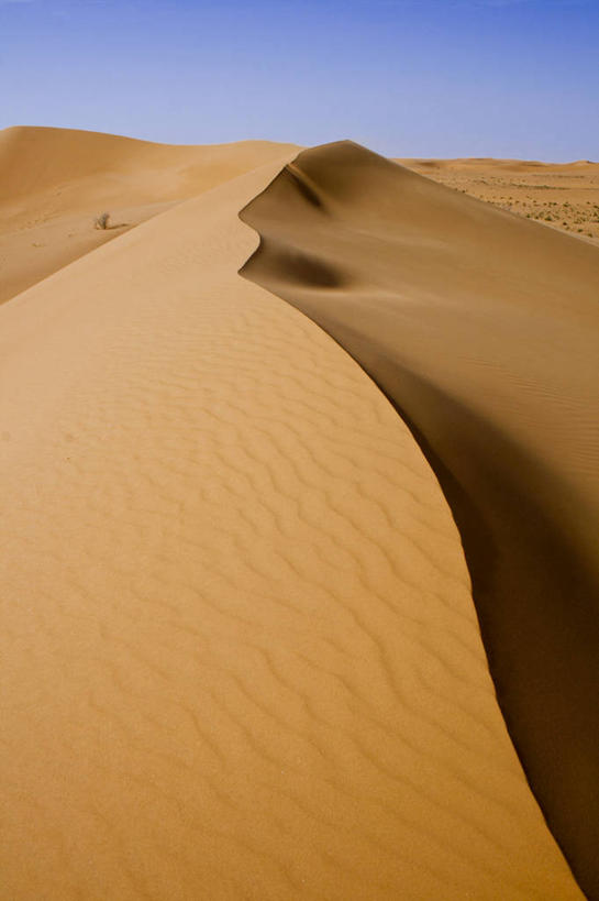 无人,竖图,室外,白天,沙漠,日光,沙丘,首都,风景,自然,摄影,宁静,波斯湾,沙特阿拉伯,万里无云,利雅得,彩图