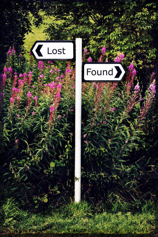 无人,竖图,室外,白天,通讯,叶子,英国,标志,文字,苏格兰,花,树,摄影,英文字母,迷路,反差,方向标,彩图