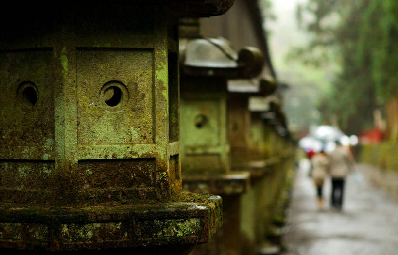 横图,室外,特写,白天,重复,日本,亚洲,一排,日本文化,整齐,人行道,苔藓,排列,摄影,宗教,神殿,宗教建筑,队列,东亚,本州,关东地方,本州岛,日本国,崎玉,崎玉县,彩图,日高市