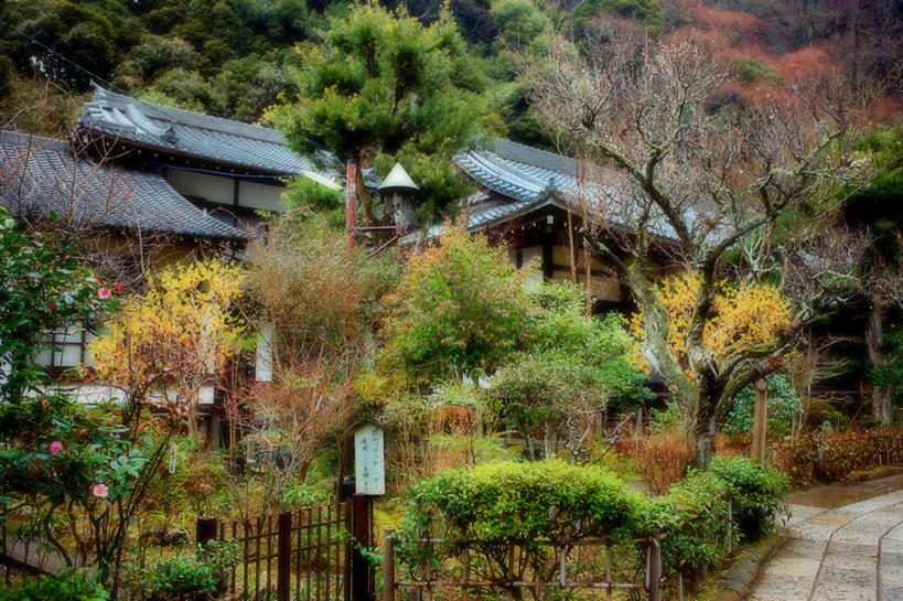 无人,横图,室外,白天,日本,屋顶,树,摄影,宗教,佛教,园林,宁静,镰仓,彩图