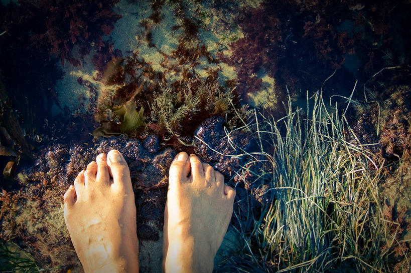 一个人,横图,俯视,特写,日光,美国,草,赤脚,人体,摄影,部分,享乐,加利福尼亚,足,圣地牙哥市,约拉,休闲活动,彩图,高角度拍摄,潮水坑