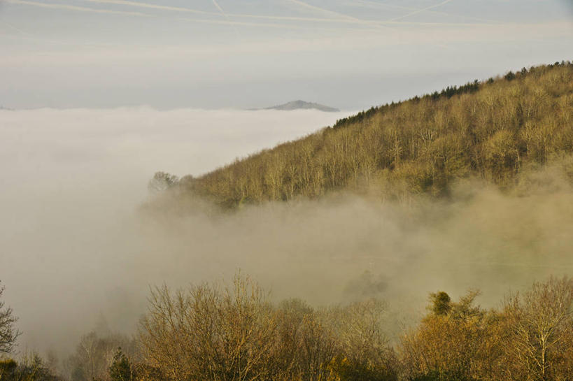 无人,横图,室外,白天,森林,树林,雾,英国,云,山谷,天气,树,风景,天空,自然,摄影,宁静,赫里福德郡,彩图