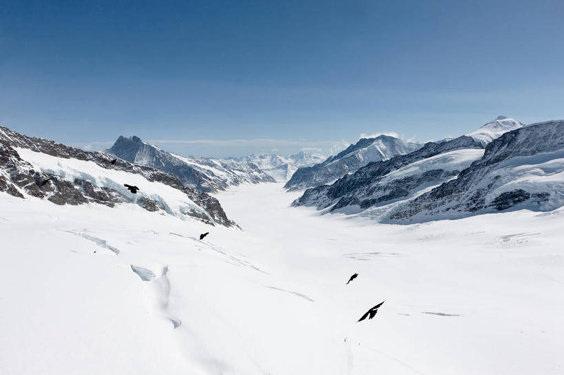 无人,横图,室外,白天,旅游,度假,美景,山脉,雪,雪山,野生动物,瑞士,四只,鸟类,景观,首都,半空,娱乐,飞,阿莱奇冰川,伯尔尼,天空,自然,享受,休闲,景色,放松,寒冷,摄影,自然风光,瓦莱斯州,彩图
