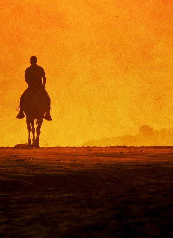 成年人,一个人,竖图,室外,日落,马,西班牙,仅一个男性,骑马,家畜,摄影,剪影,彩图