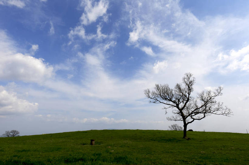 无人,横图,室外,白天,旅游,度假,美景,山,日本,地平线,地形,景观,云,辽阔,地面,娱乐,草,树,绿色,天空,自然,享受,休闲,广阔,景色,放松,摄影,宁静,一望无际,自然风光,延伸,天地相交,熊本,无边无际,一马平川,彩图,麻生太郎