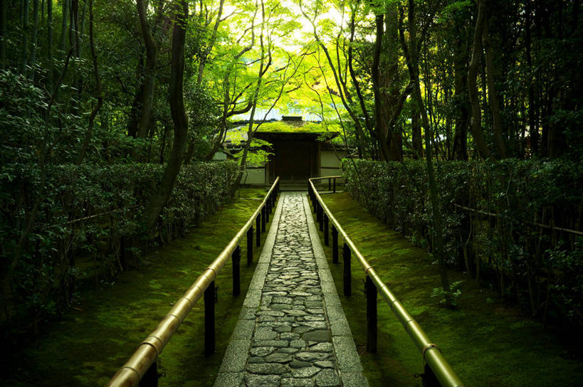 无人,栏杆,横图,室外,白天,日光,日本,人行道,苔藓,树,自然,摄影,宗教,京都府,京都市,彩图