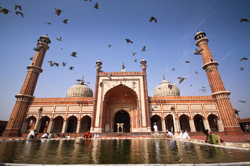 成年人,坐,蹲,横图,室外,白天,仰视,水,建筑,野生动物,印度,亚洲,一群,许多,鸟类,拱门,很多,许多人,飞,天空,一群人,摄影,宗教,尖塔,伊斯兰教,圆顶建筑,宗教建筑,清真寺,南亚,印度文化,印度共和国,贾玛清真寺,旧德里,德里,男人,女人,彩图,低角度拍摄,德里国家首都辖区