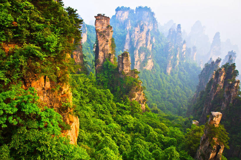 无人,横图,俯视,室外,白天,美景,森林,山,雾,张家界,地形,景观,天气,宏伟,绿色,风景,自然,景色,摄影,宁静,岩层,自然风光,树梢,湖南省,张家界国家森林公园,自然地理,岩石,彩图,高角度拍摄
