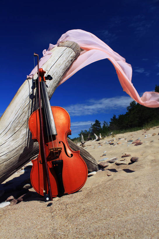 无人,竖图,室外,白天,纺织品,拉脱维亚,沙子,小提琴,树,树干,天空,摄影,海滩,彩图