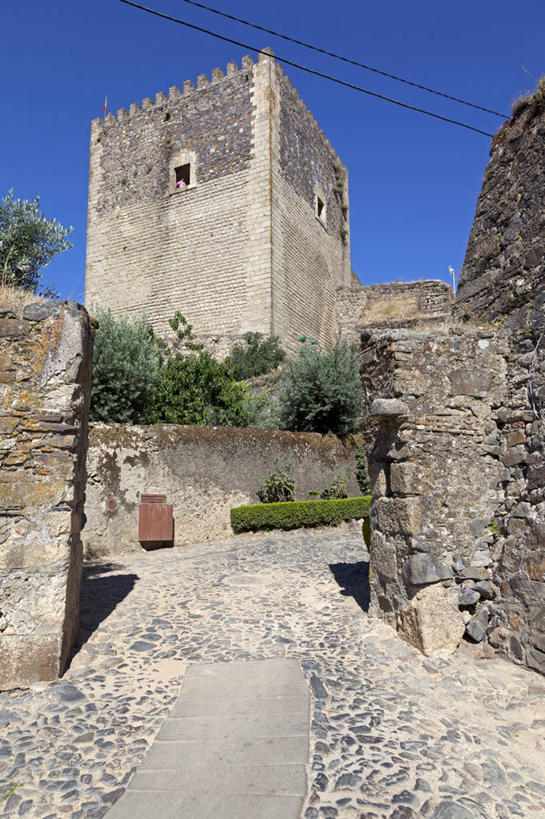 无人,竖图,室外,白天,植物,建筑,葡萄牙,城堡,历史,摄影,宁静,万里无云,阿连特茹,彩图