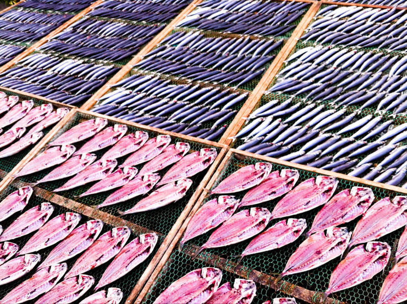 无人,横图,室外,白天,静冈县,日本,一排,准备,丰富,日本文化,整齐,鱼干,鱼类,饮食,排列,一朵,摄影,队列,清新,烘干,海产,彩图,传统文化