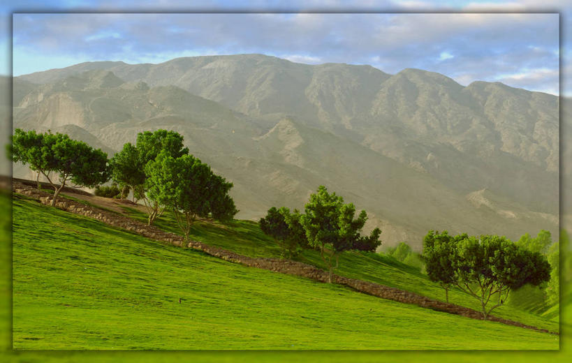 无人,横图,室外,白天,美景,山,山脉,阿联酋,亚洲,地形,景观,云,首都,宏伟,草,树,风景,天空,自然,景色,摄影,宁静,自然风光,西亚,阿拉伯联合酋长国,阿布扎比,波斯湾,阿布达比,彩图,阿莱因,艾因