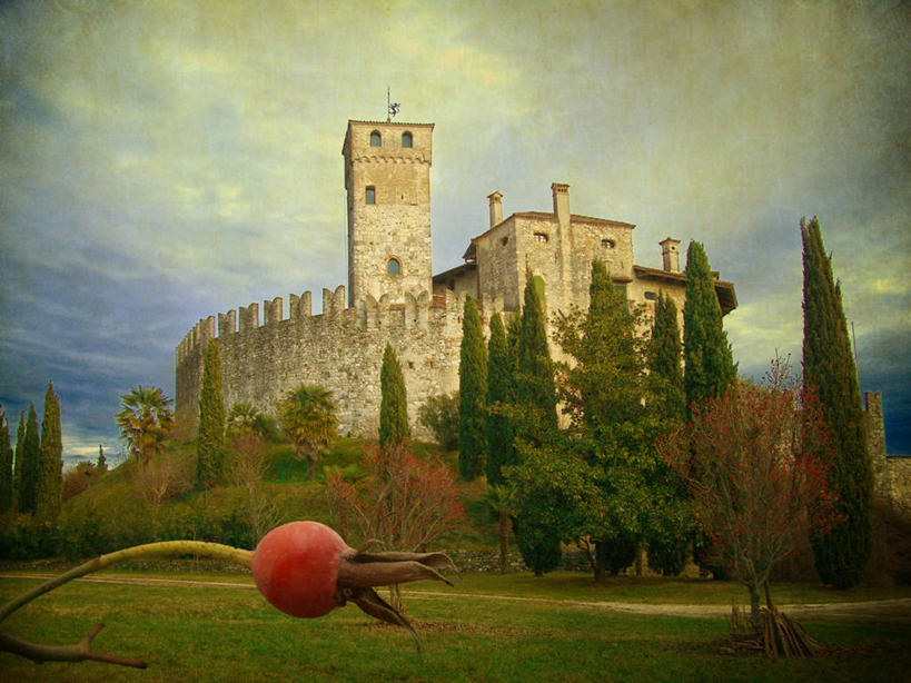 无人,横图,室外,白天,建筑,意大利,欧洲,城堡,花蕾,历史,草,树,自然,摄影,宁静,南欧,意大利共和国,弗留利.威尼斯朱利亚,弗留利.威尼斯朱利亚大区,彩图,乌迪内