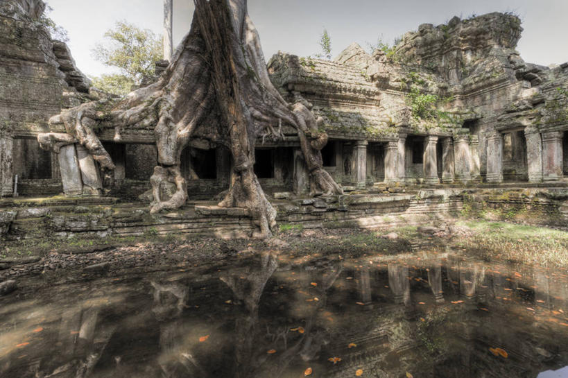 无人,横图,室外,白天,建筑,柬埔寨,池塘,历史,草,树,摄影,宗教,大吴哥城,圣剑寺,彩图,柬埔寨文化