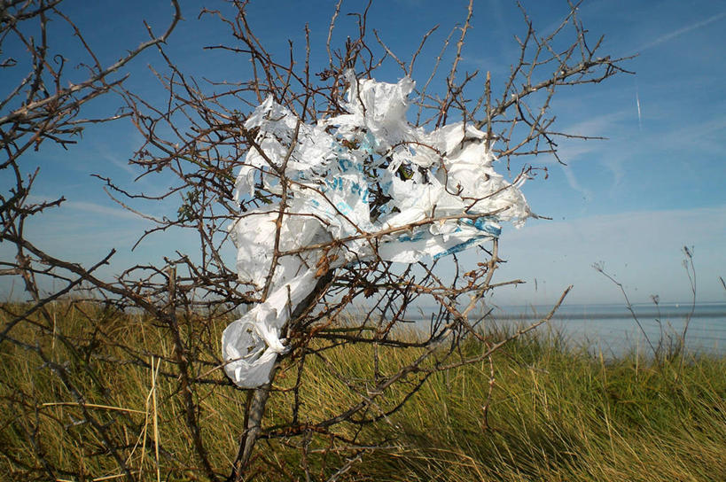 无人,横图,室外,白天,英国,云,枝,塑料袋,草,摄影,宁静,碎纸,环境,污染,肯特