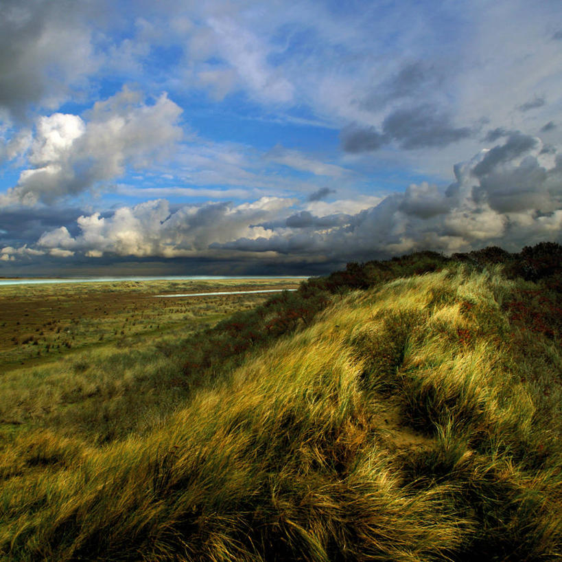 无人,横图,室外,白天,旅游,度假,自由,草地,海洋,美景,风,日光,荷兰,地形,景观,田地,云,沙丘,天气,娱乐,草,风景,天空,自然,享受,休闲,景色,放松,摄影,宁静,自然风光,永远,海滩