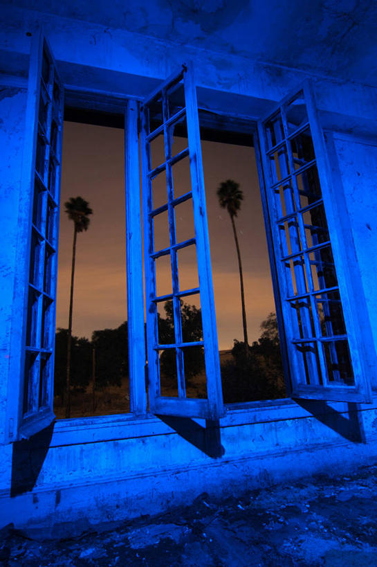 无人,竖图,室内,夜晚,神秘,植物,窗户,建筑,酒店,棕榈树,叶子,废弃,绿叶,废墟,树,树木,绿色,自然,黄昏,打开,嫩叶,摄影,建造,生长,成长,报废,废物,开启,加利福尼亚,丢弃,剪影,棕榈叶,放弃,抛弃,摈弃,拜伦,叶,叶片,棕树,棕榈,屏弃,摈斥,摒除