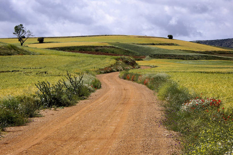 无人,横图,室外,白天,旅游,度假,美景,山,西班牙,欧洲,景观,田地,娱乐,草,风景,自然,享受,休闲,景色,放松,摄影,宁静,南欧,自然风光,伊比利亚半岛,西班牙王国,阿拉贡,阿拉贡自治区,萨拉戈萨,萨拉戈萨省