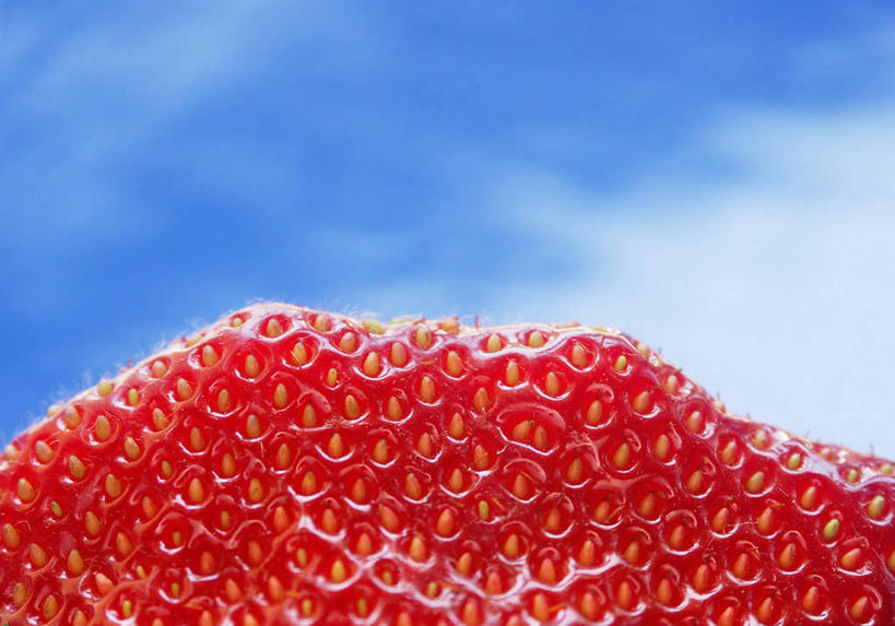 无人,横图,室外,特写,白天,雪,草莓,浆果,美国,饮食,红色,天空,摄影,部分,北美,北美洲,清新,加利福尼亚,美洲,北亚美利加洲,亚美利加洲,圣何塞,式样,想法,美利坚合众国