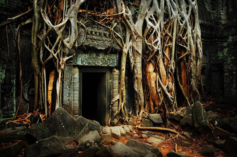 太阳穴,无人,横图,室外,白天,神秘,建筑,柬埔寨,根部,历史,废墟,地标建筑,摄影,宗教,佛教,生长,吴哥寺,暹粒,塔普伦寺,印度支那,无花果树,吴哥,岩石,旅行,过去,柬埔寨文化,绞杀植物