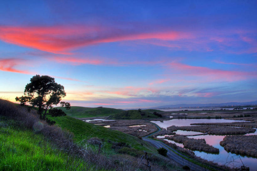 无人,横图,室外,旅游,度假,美景,山,山脉,美国,反射,池塘,地平线,地形,景观,辽阔,地面,宏伟,娱乐,草,树,风景,自然,黄昏,享受,休闲,广阔,景色,放松,摄影,宁静,一望无际,环境,北美,北美洲,加利福尼亚,自然风光,延伸,美洲,加州,加利福尼亚州,金州,黄金州,天地相交,北亚美利加洲,亚美利加洲,无边无际,一马平川,旅行,美利坚合众国,阿拉梅达县,费利蒙,费利蒙市