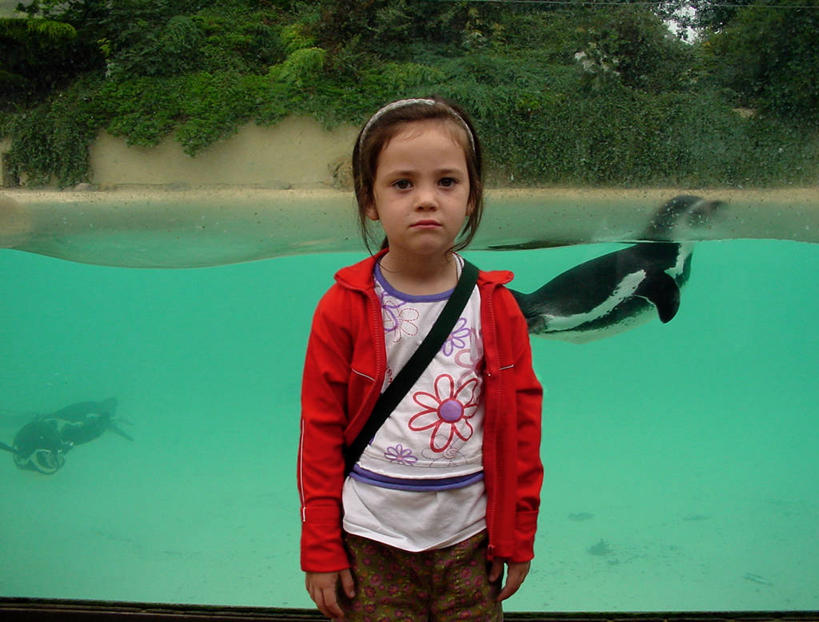 游泳,西方人,儿童,一个人,体育馆,游泳池,运动场,站,横图,室外,白天,正面,纯洁,水,企鹅,野生动物,英国,欧洲,欧洲人,仅一个女性,仅一个人,束发带,拿着,休闲装,体育场,树,小孩,衣服,红色,动物,发饰,仅一个小孩,可爱,童年,童趣,摄影,运送,北欧,肖像,童真,烂漫,无邪,运动馆,莱切斯特,莱切斯特城,天真,女孩,女人,女性,白种人,孩子,上装,半身,女生