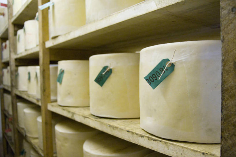 奶酪,无人,横图,室内,家具,纺织品,英国,一排,许多,丰富,整齐,黄油,很多,饮食,架子,排列,摄影,奶制品,队列,北欧,硬干酪,健康食物,切达干酪