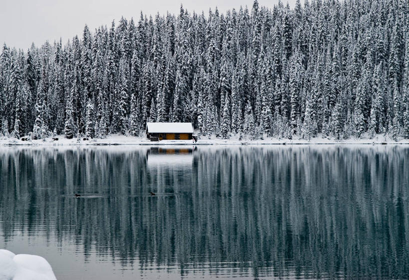 无人,横图,室外,白天,湖,美景,雪,加拿大,对称,反射,景观,冬天,树,风景,自然,景色,寒冷,摄影,宁静,自然风光,亚伯达,露易斯湖,班夫,旅行