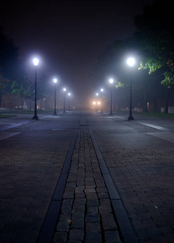 无人,竖图,室外,夜晚,雾,路灯,加拿大,一排,整齐,树,排列,运输,摄影,照明设备,队列,多伦多,安大略省,大学