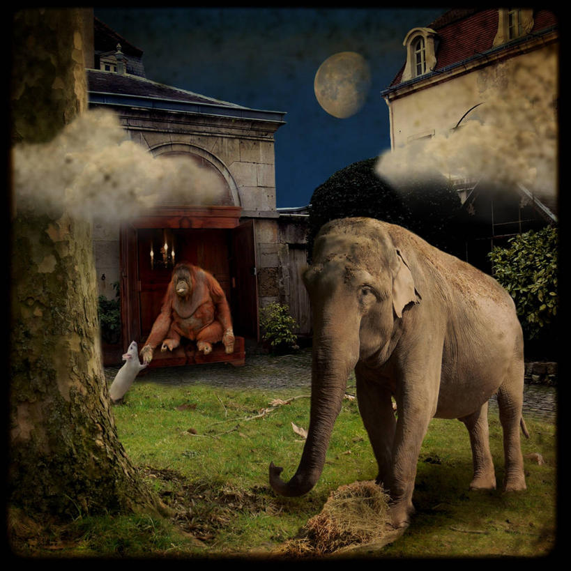 无人,方图,室外,夜晚,童话故事,建筑,野生动物,猴子,法国,三只,庭院,月亮,草,树,天空,幻想,摄影,鼠,梦想,灵长目,中欧,象