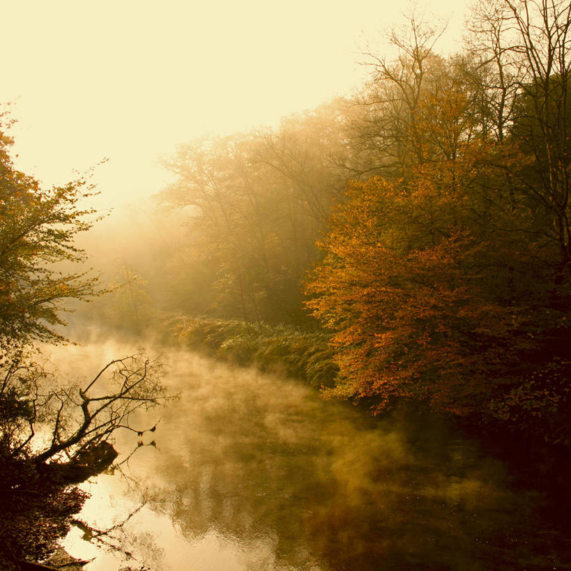 无人,方图,室外,河流,美景,森林,雾,德国,反射,景观,流水,黎明,树,风景,自然,景色,摄影,宁静,自然风光,中欧,伍珀塔尔,秋天,旅行